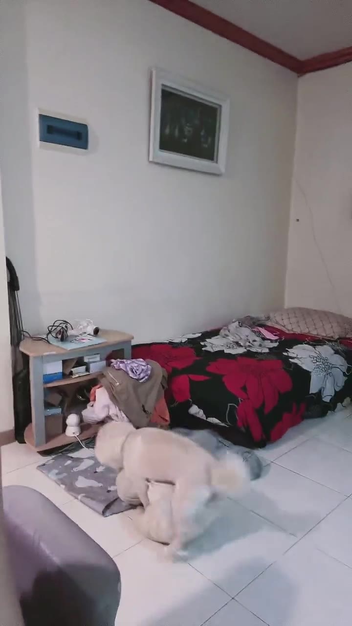 Cici Bai Makin Besar Gini Aja Bikin Tegang ID 45836759 Mango